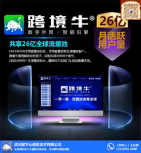 跨境引流系统 外贸企业获取流量的关键软件服务